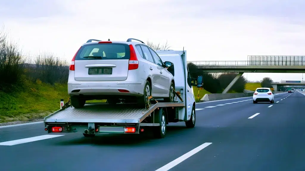 gruas para asistencia y rescate de autos por carretera